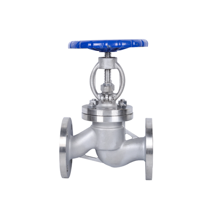 globe valve for steam line